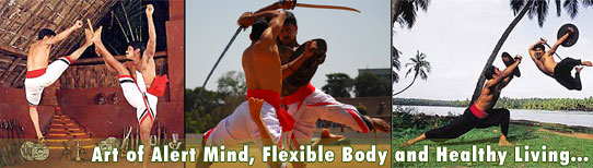 Ayurveda Kerala Ayurveda Kerala