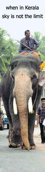 The kerala tourism