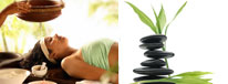 Rejuvenation & Wellness Packages